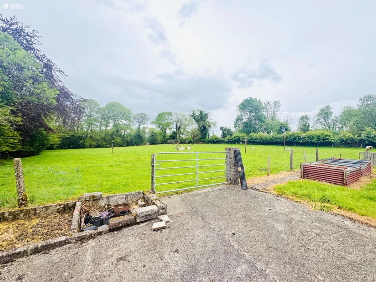 Ballydwyer West, Ballymacelligott, Ballymacelligott, Co. Kerry - Image 20