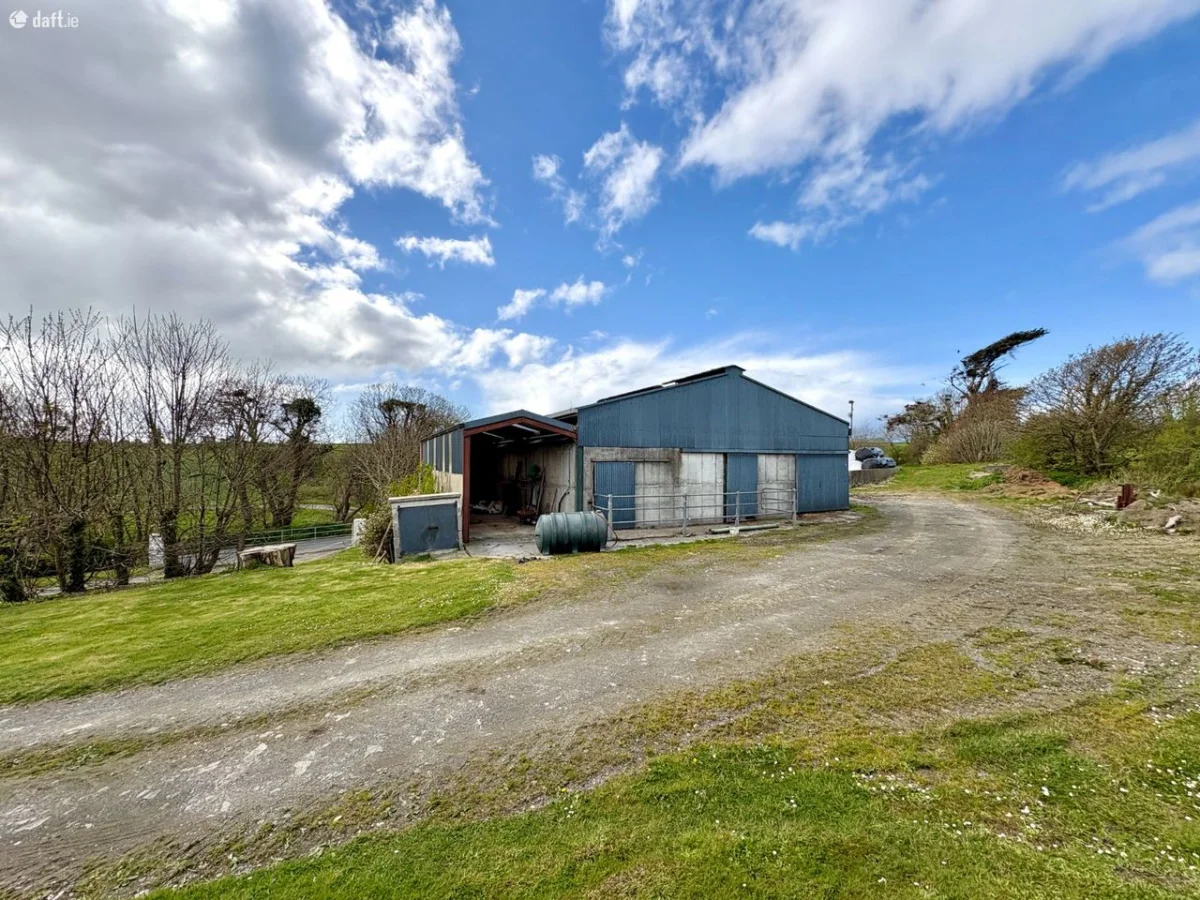 Ballynoe,Causeway,Tralee,Co. Kerry, Causeway, Co. Kerry - Image 26