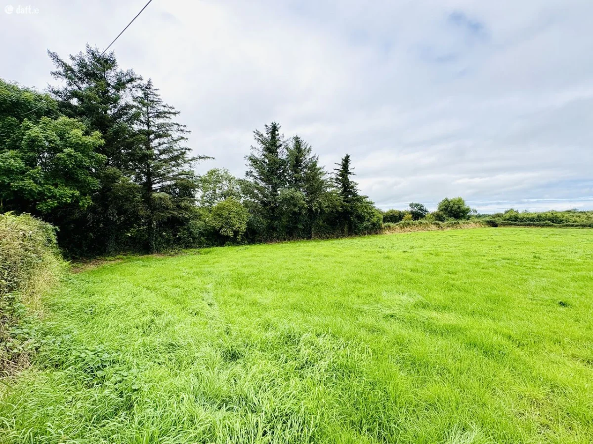 Kilfeighny North, Lixnaw, Co. Kerry - Image 6